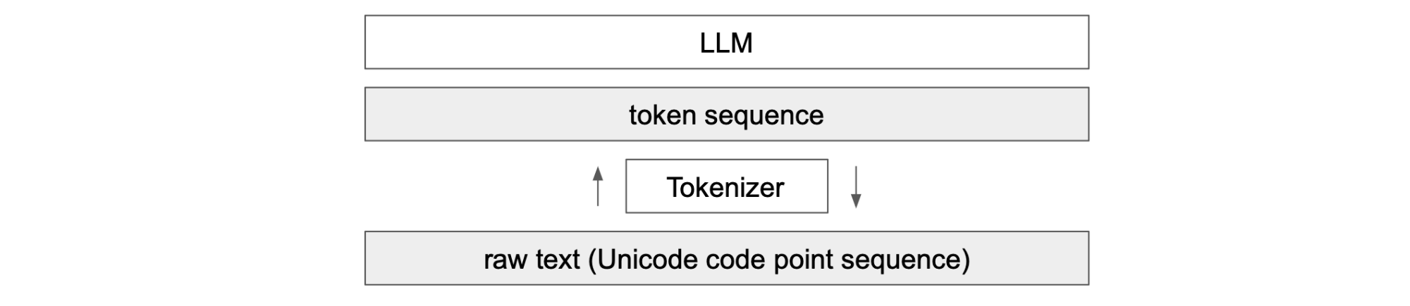 tokenizer